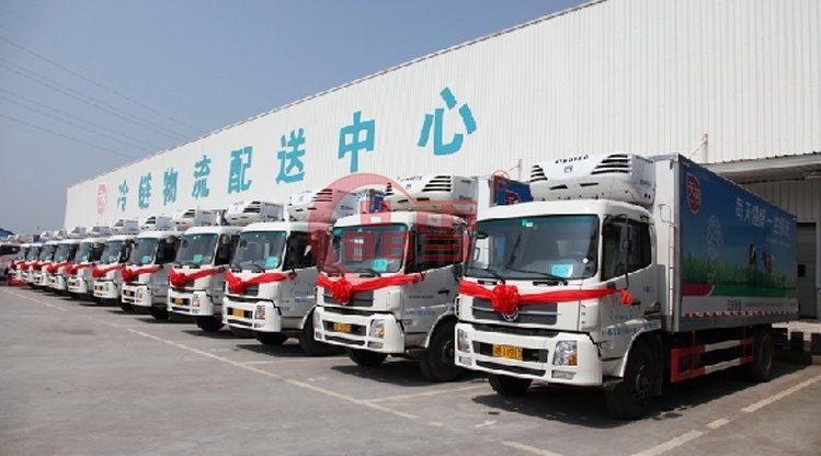 淺析我國農產品市場冷鏈物流